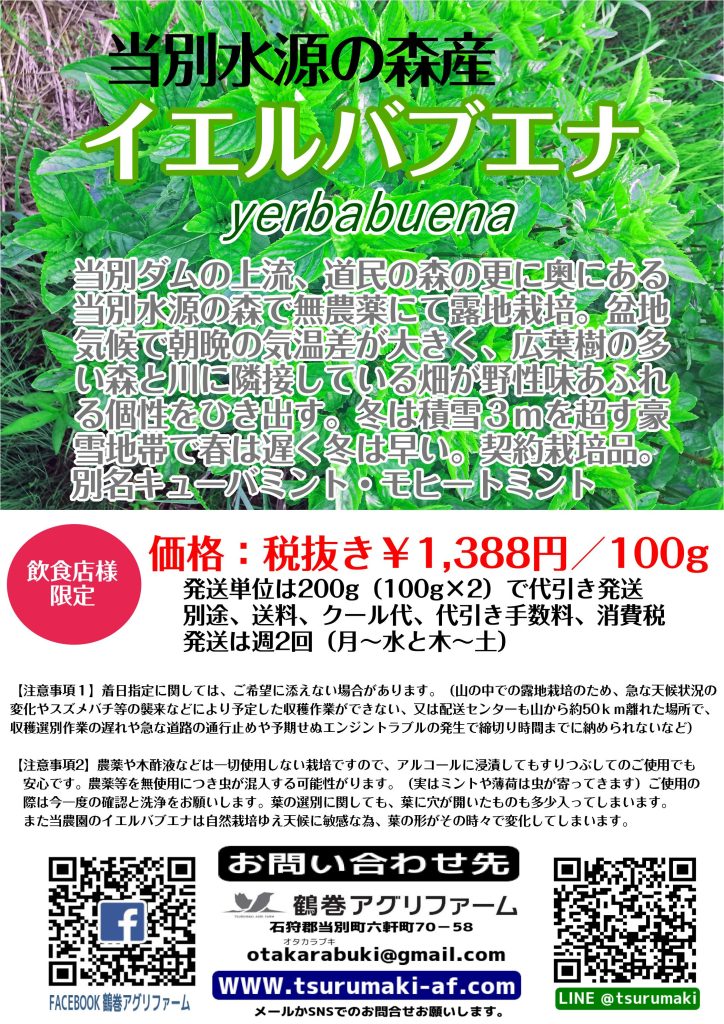 Yerba Buena　イエルバブエナカタログ